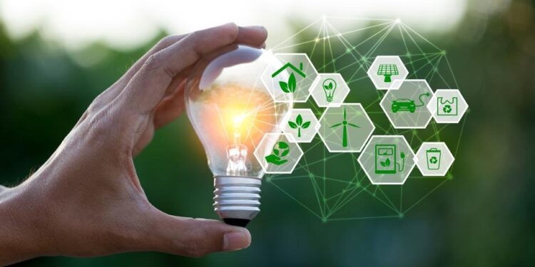 Innovating for a Sustainable Business Future