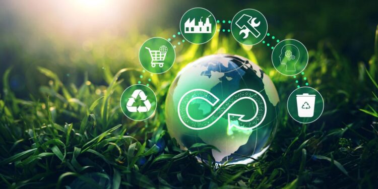 Circular Economy: New Opportunities for Business